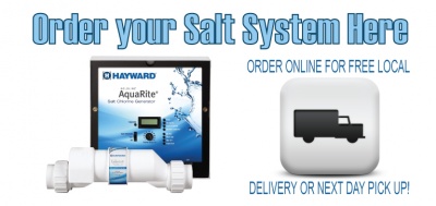 Online Salt Systems