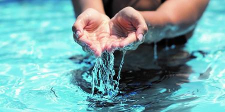 Pet safety for swimming pools