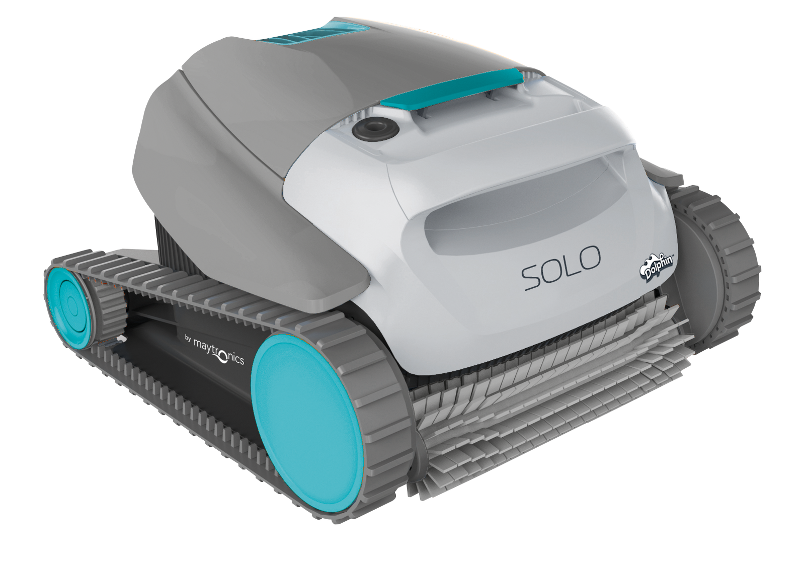 dolphin inground robotic cleaner