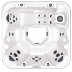 View Product 202 LE HOT TUB 220V