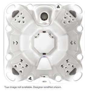 View Product 202B SE HOT TUB 110V